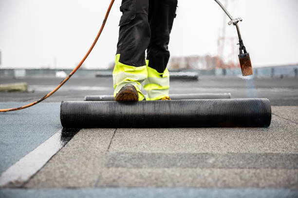 Best Solar Panel Roofing Installation  in Olyphant, PA